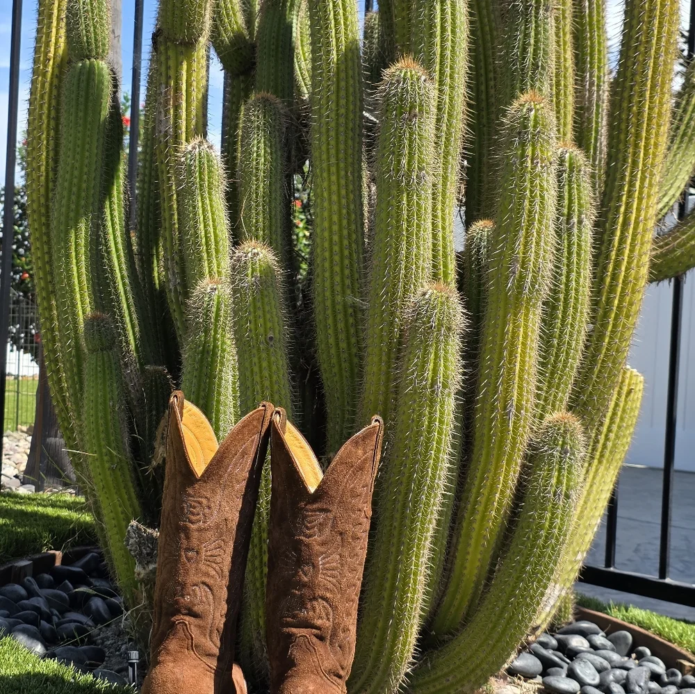 Heritage Boot Company - Womens Suede Western Cowboy Boots - Picture 10 of 10